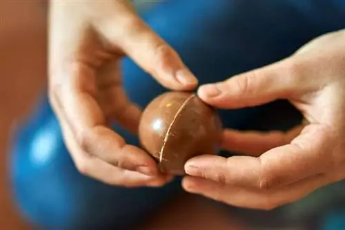 Яйцо-сюрприз