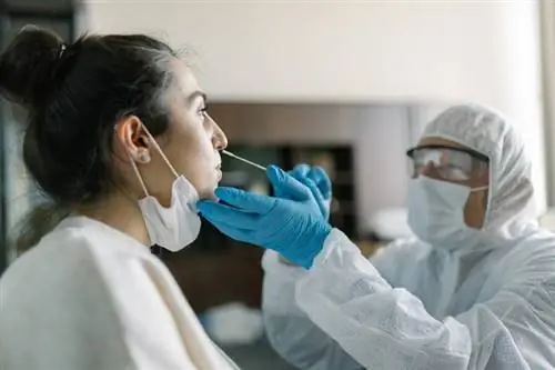Текущие цифры короны: более 29 000 новых инфекций в Германии - значение R равно 1,11