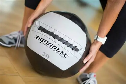 Dynamax Так ты остаешься на высоте