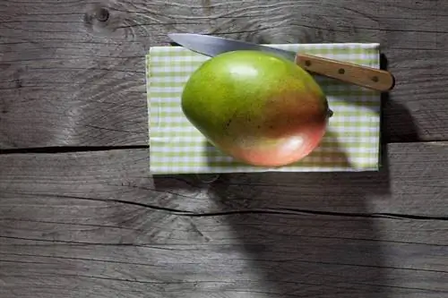 Манго Это делает манго суперпродуктом