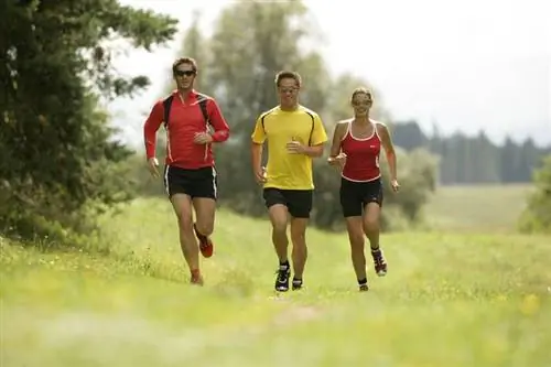 Охрана окружающей среды Green Fitness