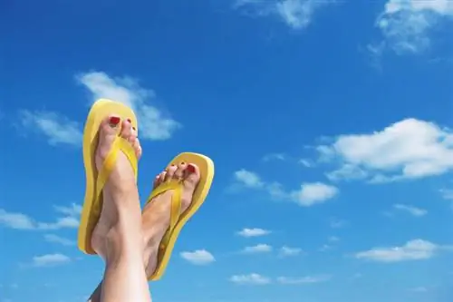 Лак для ногтей Shellac Три недели красоты с Shellac