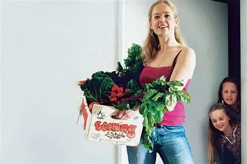 питаться лучше, питаться правильно, диета, похудеть, стройная, толстая, худая, здоровье, работа, стресс