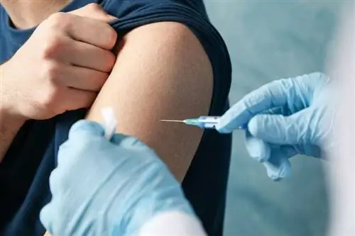 Коронавирусная вакцинация Коронавирусная вакцинация