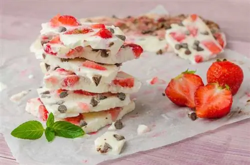 Йогуртовая корочка с клубникой и шоколадной стружкой Йогуртовая корочка с клубникой и шоколадной стружкой