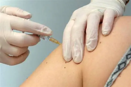 Прививка от гриппа Кому она нужна, как хорошо помогает