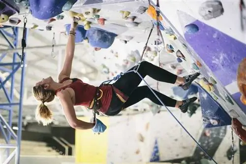 Женщина лезет в зал