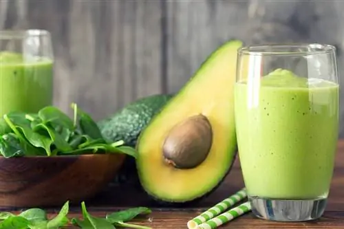 Смузи из авокадо Зеленая сила с гарантией наполнения