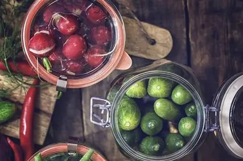 Смешанные соленья Почему соленья так полезны