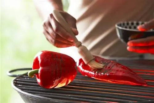 Вегетарианские блюда на гриле Рецепты гриля для вегетарианцев