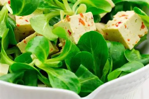 План диеты, похудеть, калории