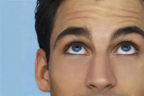 Расслабленное зрение Отсутствие сухости глаз