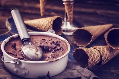 Шоколадное мороженое Это вид мороженого, которое немцы любят лизать