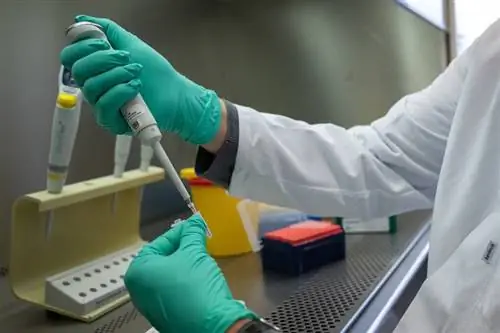 Утренние цифры RKI: более 4 миллионов зараженных коронавирусом в Германии