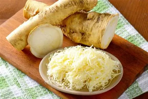 хрен хрен