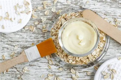 Не только вкусно: Как просто сделать маску для лица из овсяных хлопьев