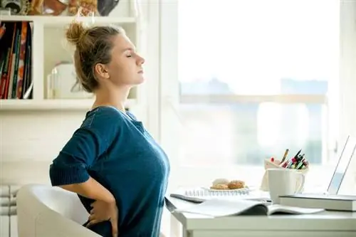 боль в спине во время работы боль в спине во время работы