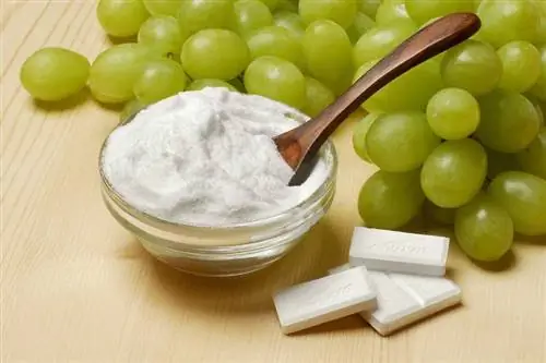 Чашка декстрозы перед свежим виноградом
