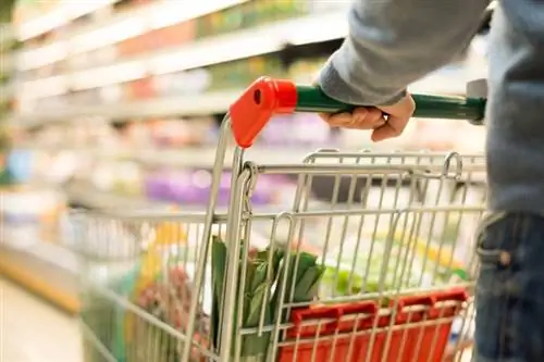Отзыв двух продуктов Maggi из-за металлических деталей