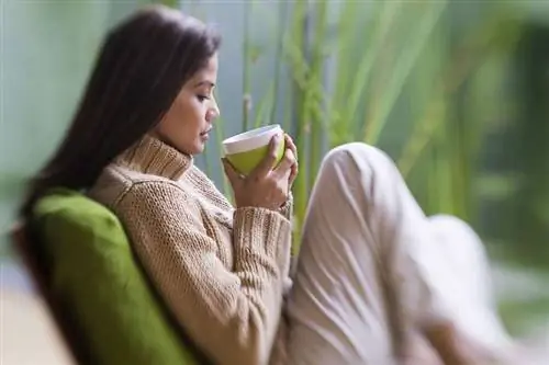 Зеленый чай, зеленый чай, катехины, диетический чай, таблетки для похудения, брюшной жир, висцеральный жир, похудение