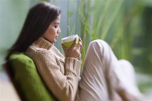 Опасность для здоровья в чашке Вреден ли зеленый чай?