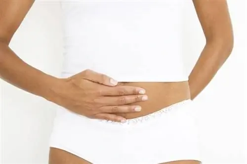 Органные часы Как органные часы влияют на наш организм?