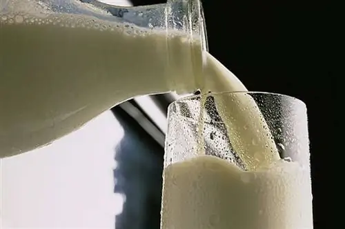 молоко, молочный остеопороз