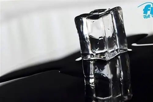 10 идей кубиков льда Что можно заморозить