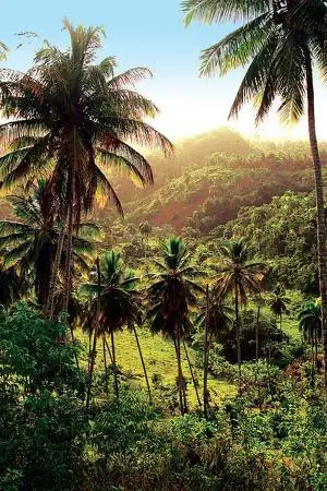 Доминикана, Dom-Rep, Путешествия, Пляж, Вода, Природа, Спорт