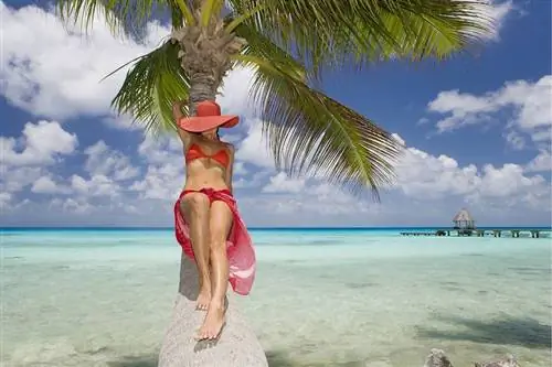 Кокосовый сахар Альтернативный подсластитель