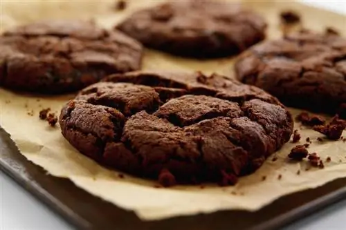 Вкусные и полезные сладкие закуски с протеиновым порошком