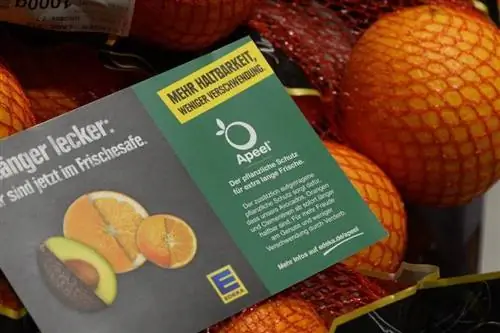 Вместо пластика: съедобное покрытие должно сохранять фрукты свежими