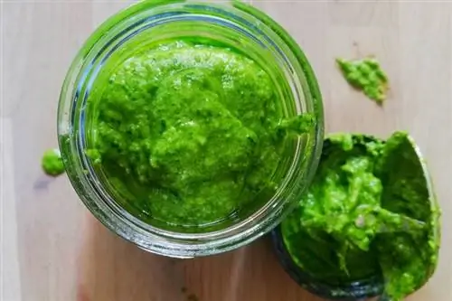 В блендере, а не в мусорном ведре: так можно приготовить кремовый соус песто из зелени редьки