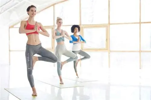 "3 женщины в приветствии солнцу