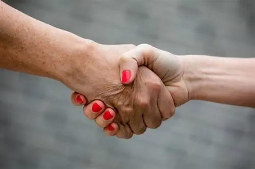 Рукопожатие возвращается: Насколько негигиенично рукопожатие?