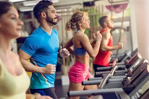 Беговая дорожка Да здравствует беговая дорожка