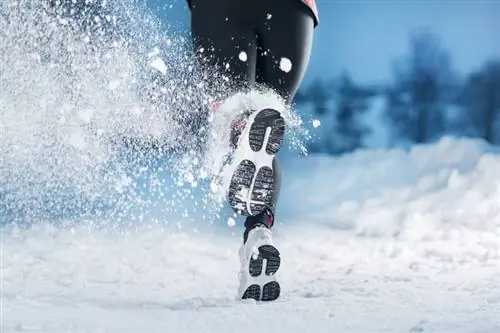 Спорт Спорт защищает от рака толстой кишки