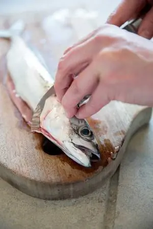 скумбрия скумбрия