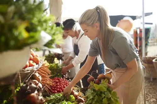 Органические продукты: действительно ли органически выращенные продукты полезнее?