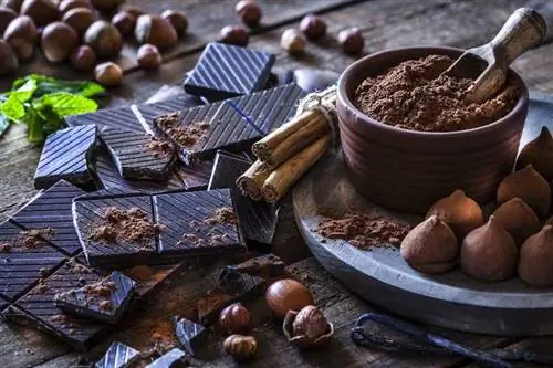 Какао источник витамина D