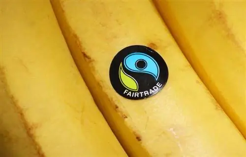 Бананы с наклейкой Fair Trade Бананы с наклейкой Fair Trade
