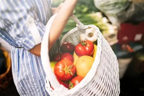 Органические продукты в корзине Органические продукты в корзине