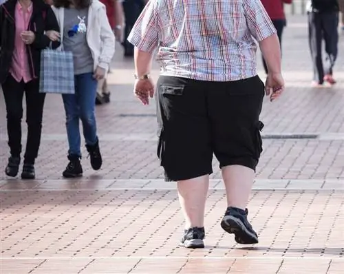 62 процента немецких мужчин слишком толстые!