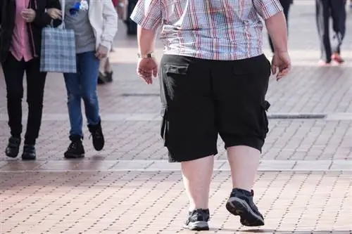 Тревожные цифры: 62 процента немецких мужчин имеют лишний вес