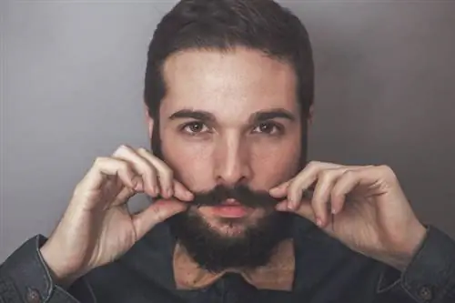 Movember: Вот почему мужчины сейчас отращивают усы