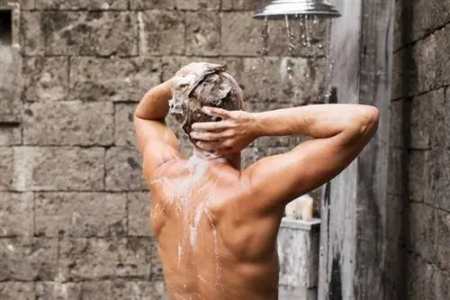 Опасность бактерий: душ может вызвать недомогание