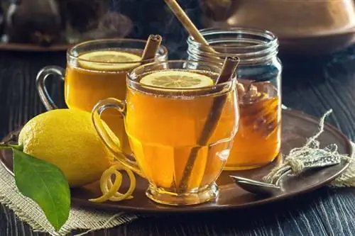 Трендовый чай Hot Toddy
