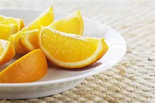 Фитмахер: Апельсин на адвентной тарелке