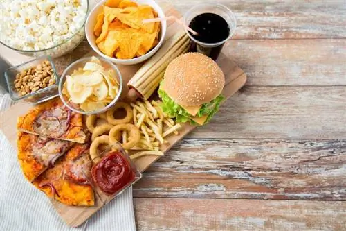 Фаст-фуд - это продукты с высокой степенью переработки