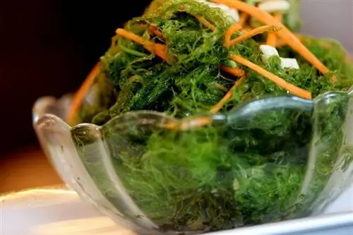 Beauty Food Водоросли Не обязательно суши